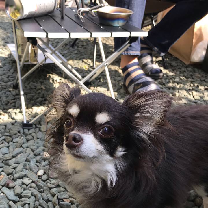 Ac761314 4b33 4e0f 9eaa 5ec131e09a03 1586581671129