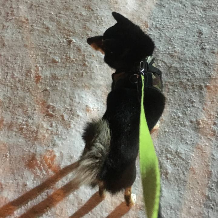 Ac762914 b37c 4ebc b3d9 05189ebff750 1514677739067