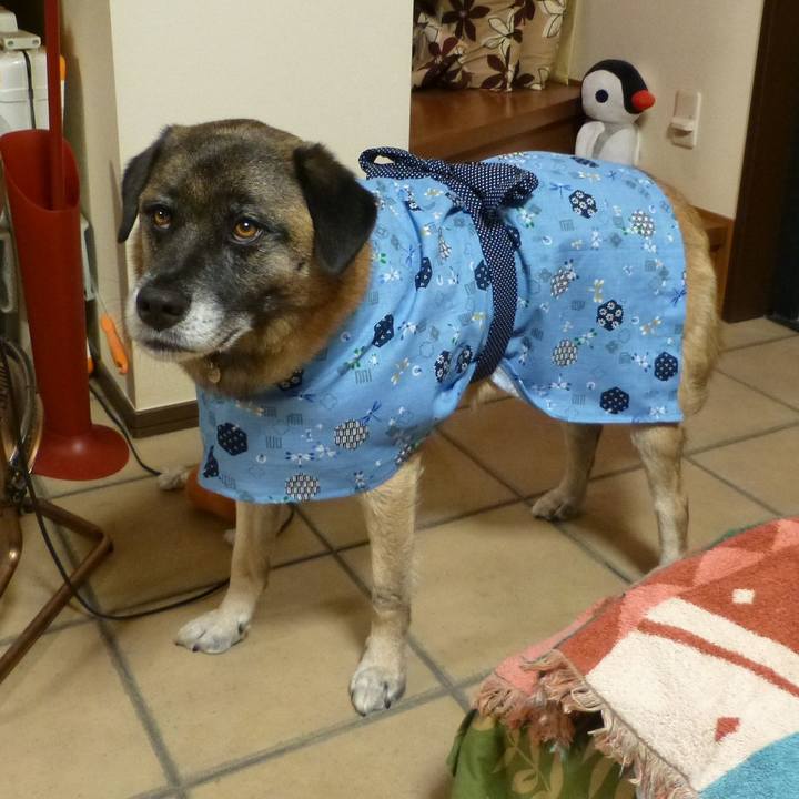 Ac7681b1 ca75 400c bb9b 7c756cb9a761 1578958721930