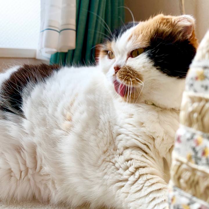 Ac76b661 04f5 45a9 a5ab 3708a48205ec 1566166868274