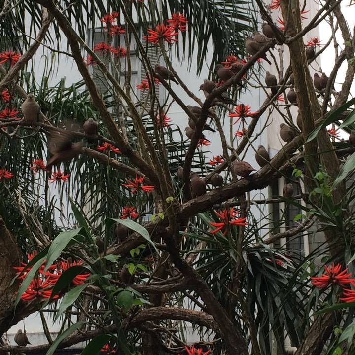 Ac76ca82 5c2d 4c53 90f8 295fc52bbf15 1533147776566