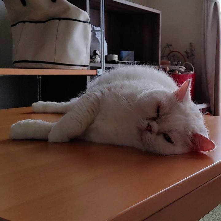 Ac76f14f 1a00 4d3e 800b 87c2a3163de7 1657319446702