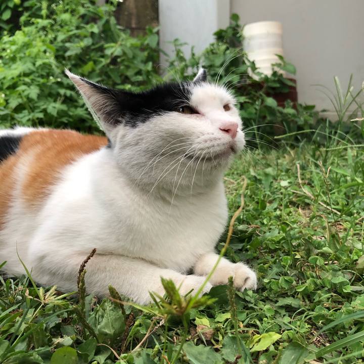 Ac771fa7 fc06 43b3 83e6 48b8045f65cd 1599126763076