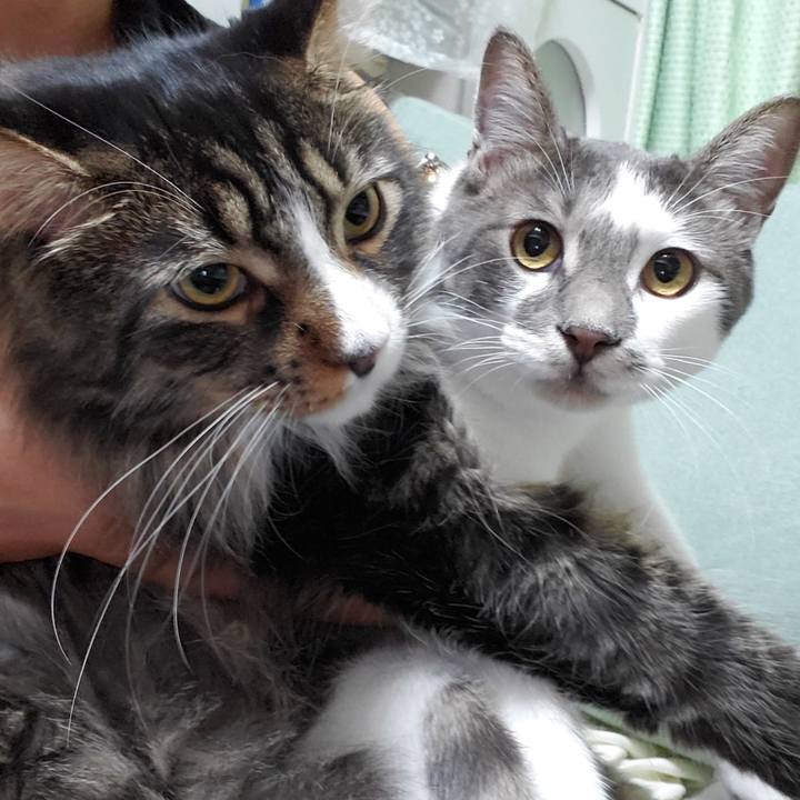 Ac773e17 df48 42e6 836d cf942eafad12 1693429727700