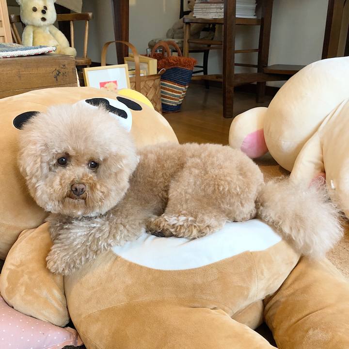 Ac775151 e4b8 427a b692 874baca0f6c7 1524027171820