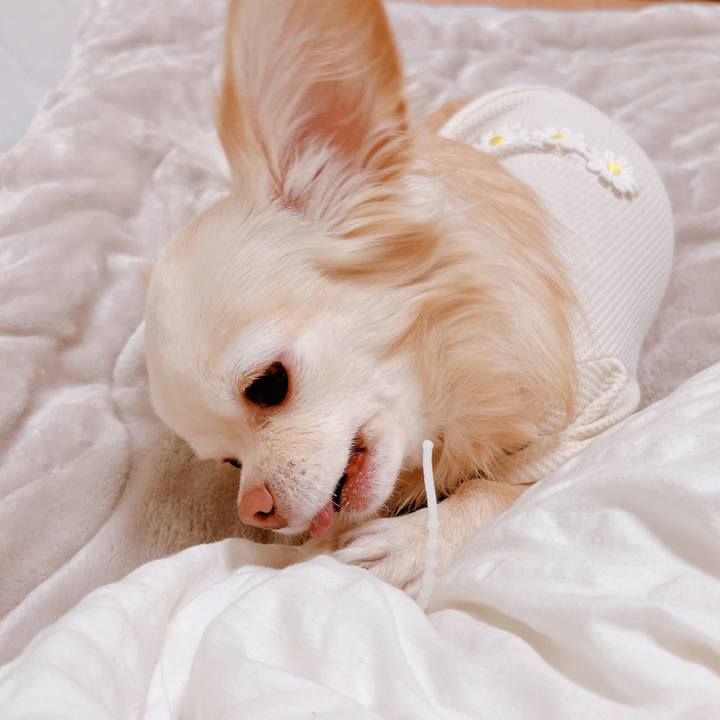 Ac777528 2147 4ea4 8137 9ad139429ba2 1671362860582