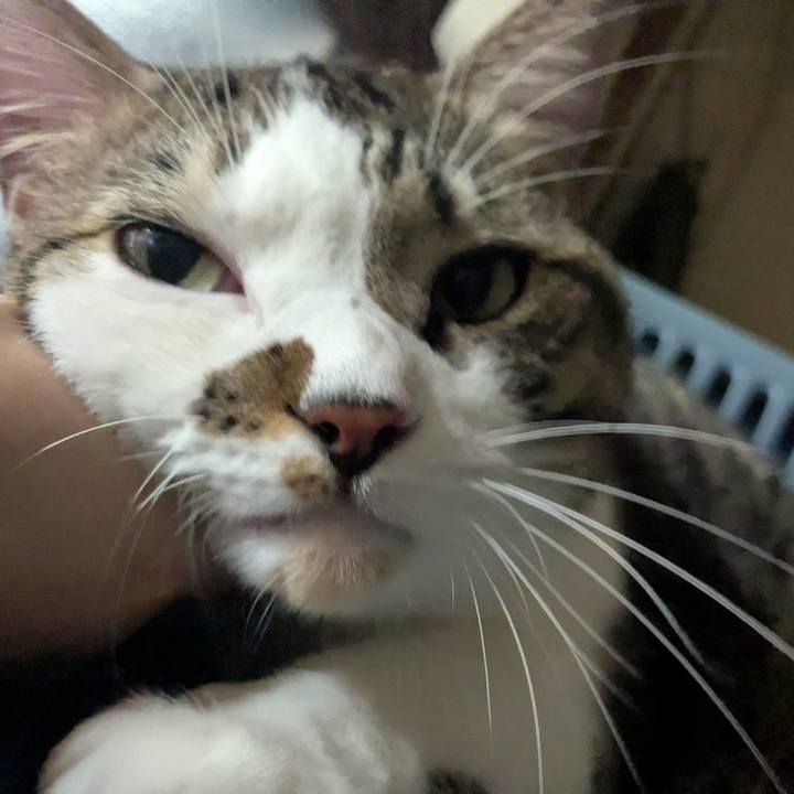 Ac778105 18d8 4425 81f4 2b964f40408e 1760093269558