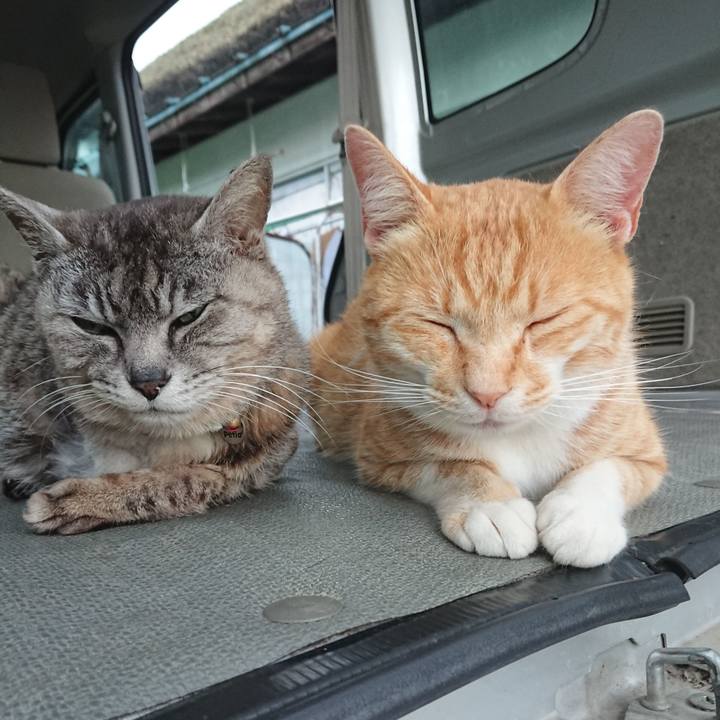 Ac77907f 9a98 446a 805f 0f5024dfd6a9 1593509496778