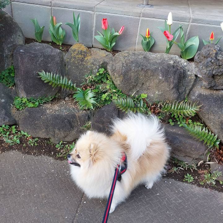 Ac77a835 c5f1 45a6 9c20 478e092e4b7d 1679362678749