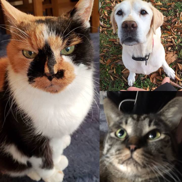 Ac77adea a1ca 4efb ace3 3b0d82b9f9d5 1564138735084