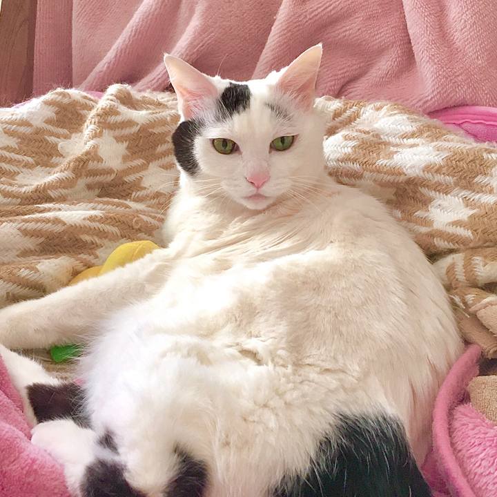 Ac77efde 223e 45c3 8ac3 ec313f5d9067 1584339866614