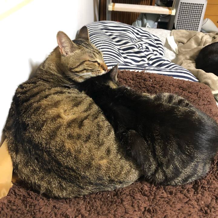 Ac781dac 3db5 46c7 b0f1 6ccdd6e45a72 1635781323771