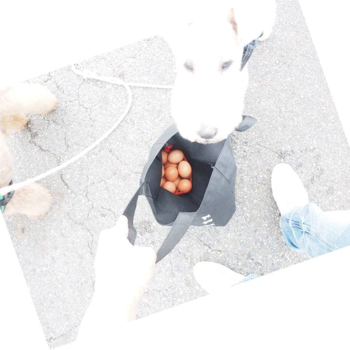 Ac7851bd ff3e 4937 9a24 285a809d2efb 1568560081605