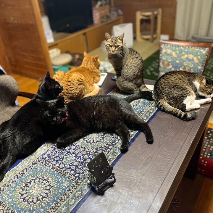 Ac785808 d217 42af b079 45f948dfd5e6 1687695865682