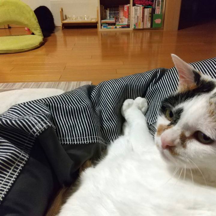 Ac78974a 0be0 49d5 b09e 069176422022 1622028979646