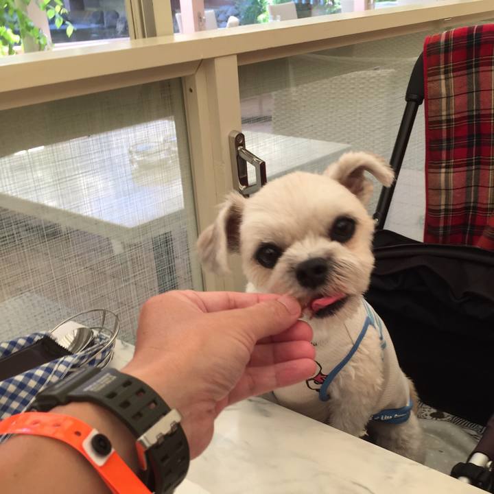 Ac78c816 6da8 4268 be98 dbb6fbbf7471 1534501619930