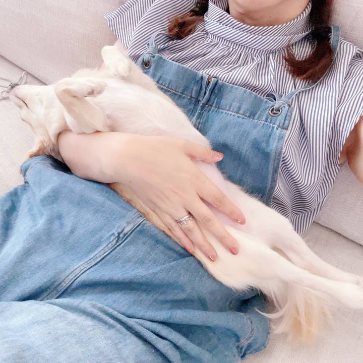 Ac78dd9c 24ba 44f9 bd46 ba09298626c0 1689256278374