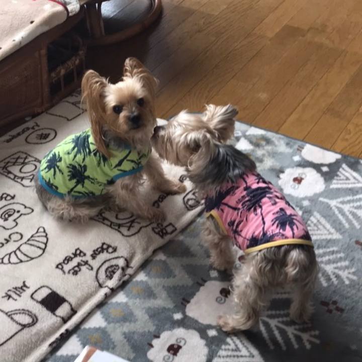 Ac78e6d7 c3a6 4fcb 83cd 4f9f4ca54752 1583832958646