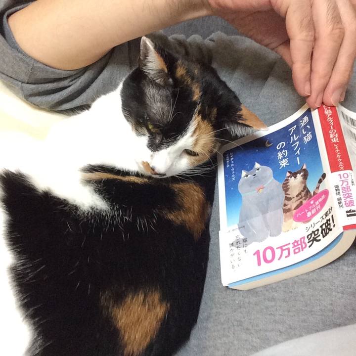 Ac7943c4 b0b1 4e89 b54c 8bb03aaee5c0 1576400136045