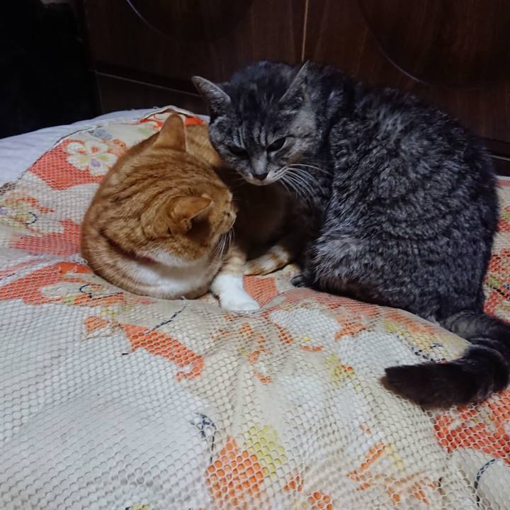 Ac796a6d 9f83 482d b783 936b956d5e91 1578053701605