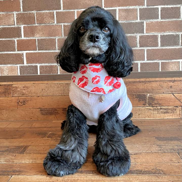 Ac79a641 a6d2 4e8f 8d81 fc3136713aeb 1707383418295