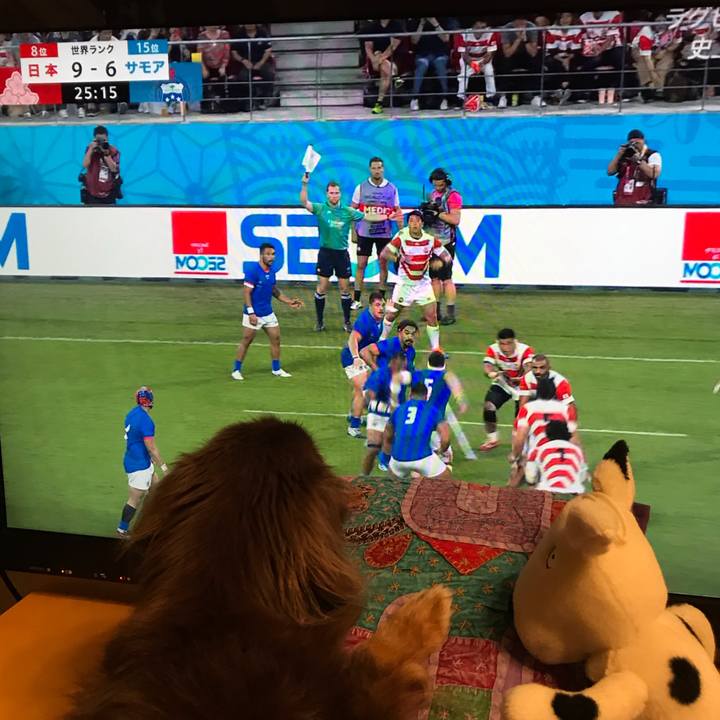 Ac79bb71 5674 4c07 98d3 fc6b038102d6 1570273343598