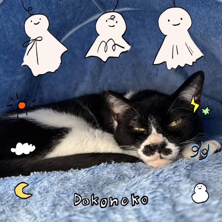 Ac79c1e4 6148 45fe b49a 6514331e5838 1749172217250