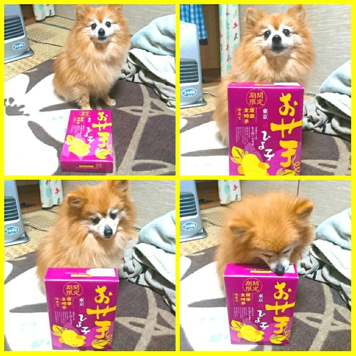 Ac79c2b0 e06d 49a3 8a36 ff4b12b26f78 1523539988510