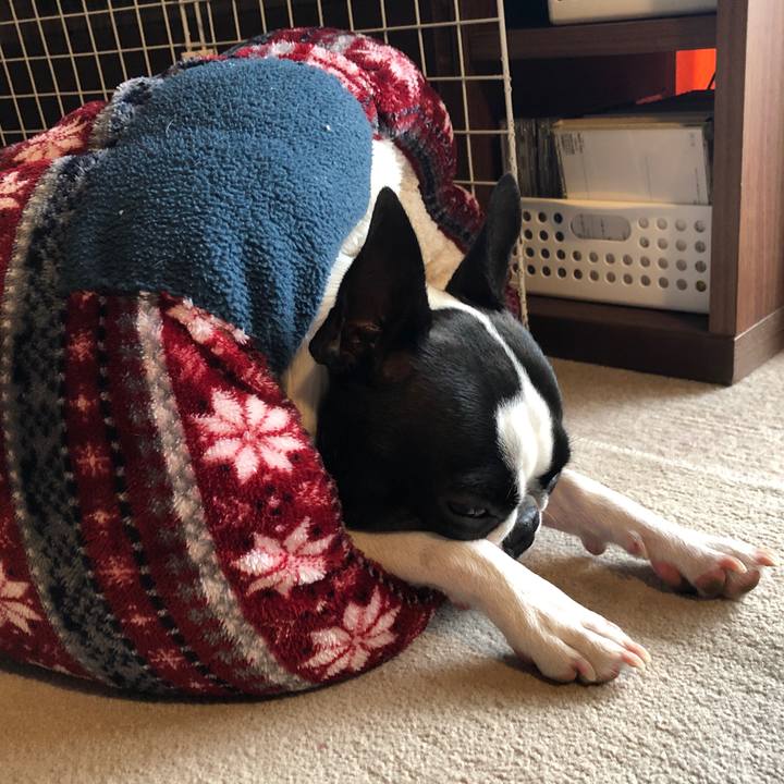 Ac79e390 4d18 4da2 a533 005c85959bdb 1572311848495