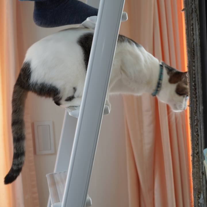 Ac79e673 fef0 4e5f 82d0 b943f8db1815 1580115080044