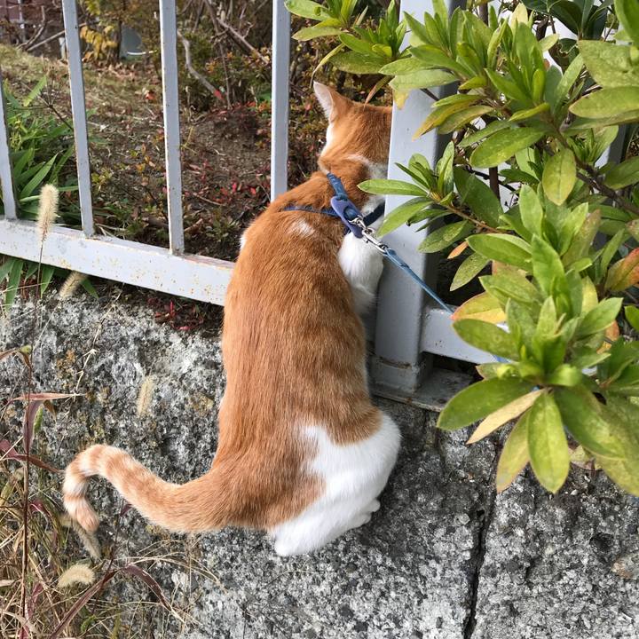 Ac7a00ff 02d2 4b88 9641 7b437a2ecee5 1510896349844