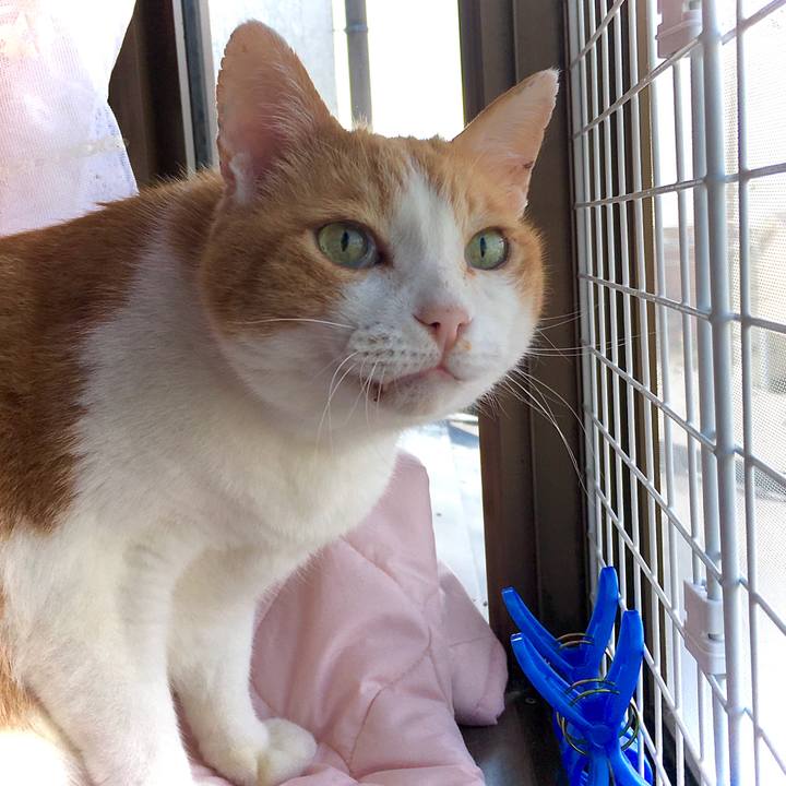 Ac7a1294 88be 430e bb41 1e6a53794fc1 1592464367528