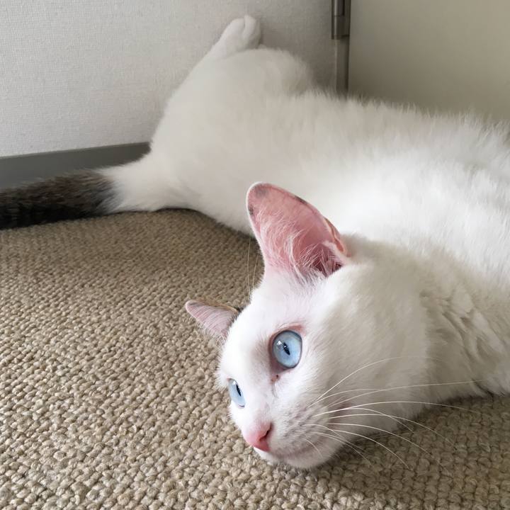 Ac7a4954 0233 4840 bd7c facc75b9dc41 1507854558124