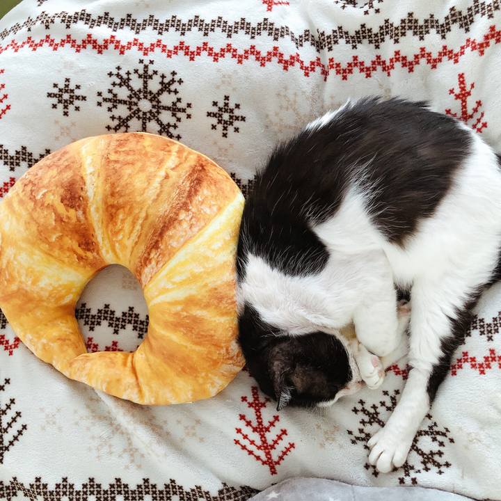 Ac7a5e6c b6aa 4f11 9263 8bd72a239e78 1621576612382