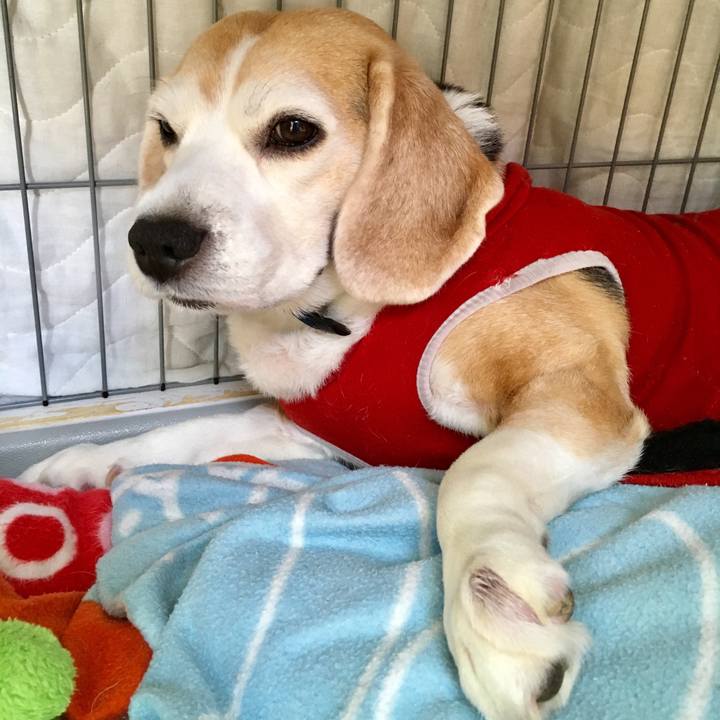 Ac7a7c5a 951e 440e 9e44 9da6618dd6c9 1554533314139