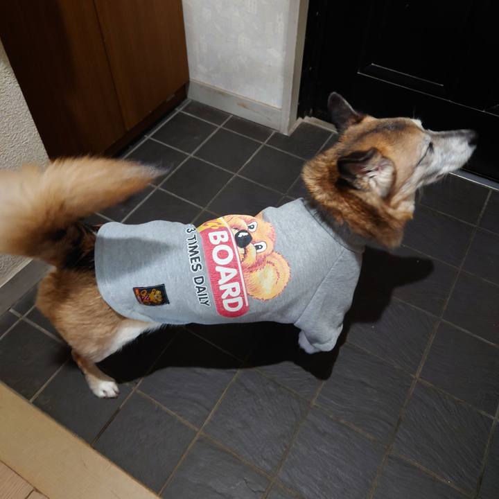 Ac7a7fed 771d 41e5 aaba 4acdf5d9b271 1619873555538