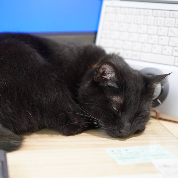 Ac7a9c75 8537 402b 98e6 6ed70adb13a4 1622117634806