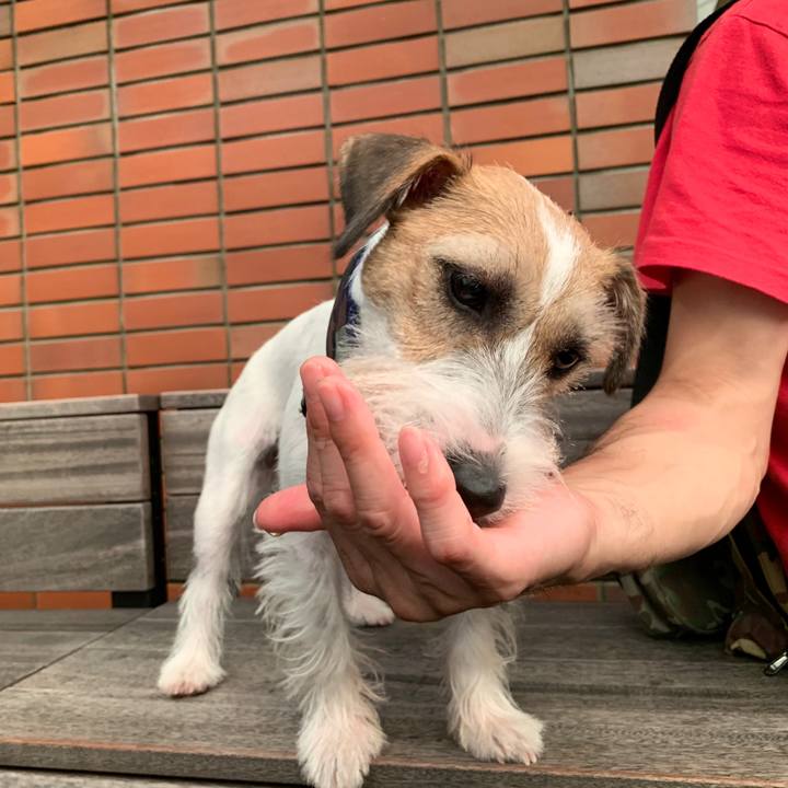 Ac7ac6be be85 4278 bedb 219ac41c4579 1597321570197