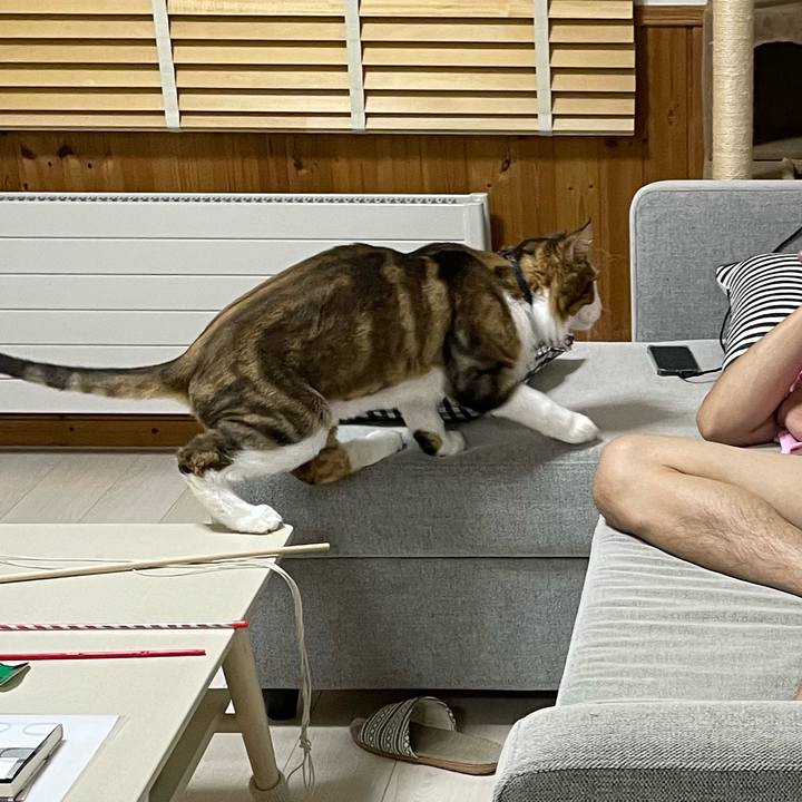 Ac7ac6ca 29ee 4bdd 9785 5e23d7cd27f2 1661257812562