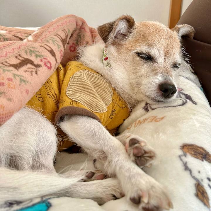 Ac7ad105 f827 4bec a604 ad2cecba2b37 1704793221651