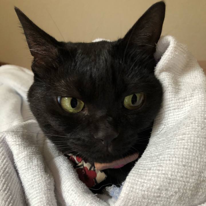 Ac7afc34 5910 4158 8e0f 530dae84cc91 1599796304910