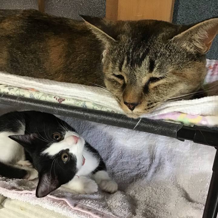 Ac7b1229 07b1 45d6 81ec 00596a2702ad 1626937564465