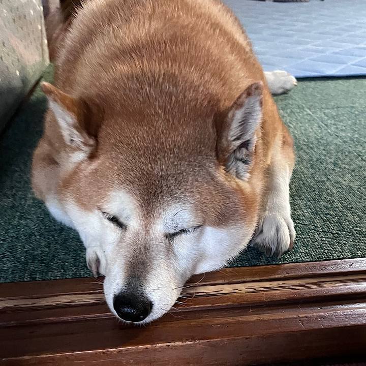 Ac7b220b dfaa 4d65 b266 f45a560d92b7 1692919447629