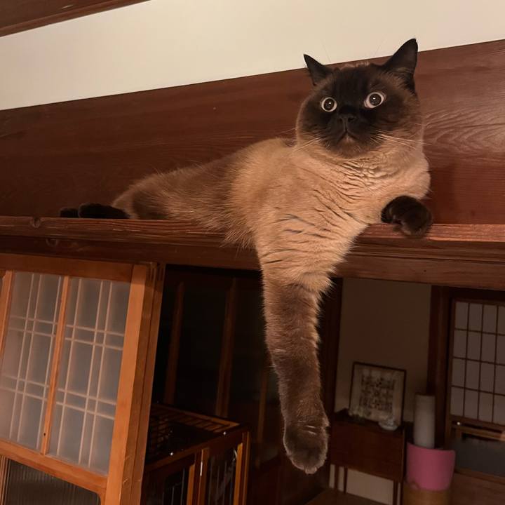 Ac7b339f 492b 4a79 816a 8aae2b86ef00 1684408233978