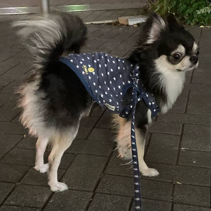 Ac7bbc5e e663 4eff b10f e72a192e2345 1656596345385