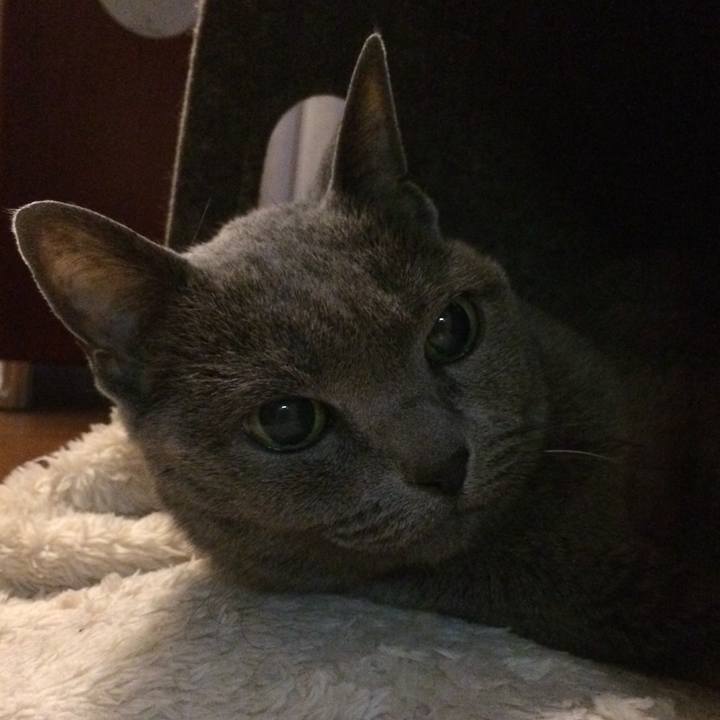 Ac7be189 8a9d 4841 868d 28aa9900def7 1543490520507