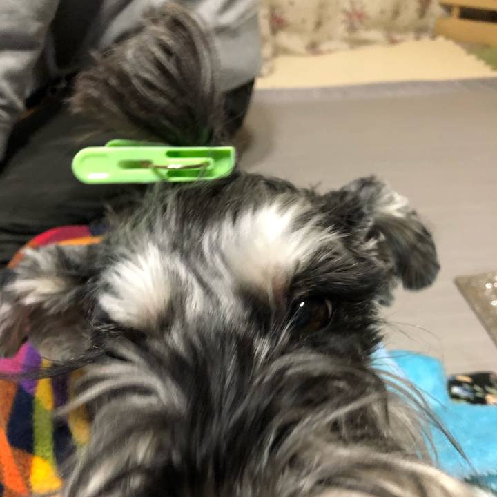 Ac7bf9cb 9565 4eda b054 f8e632894db6 1578660184300