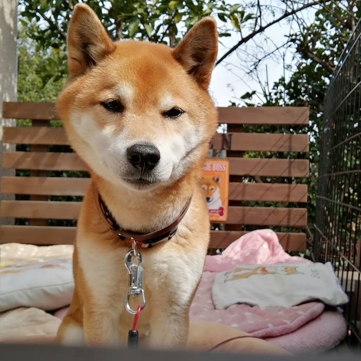 Ac7c05f0 4114 4102 9a95 6d49082cde03 1646885855308