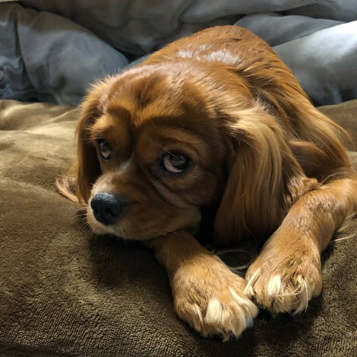 Ac7c44b3 08d0 4415 83aa b07ff999204b 1548887169569