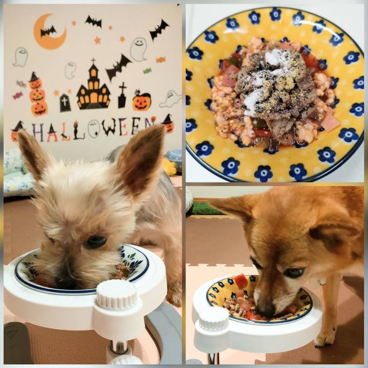 Ac7c4ada d86e 4b99 a3d0 9fd045a9a8bf 1663586345010